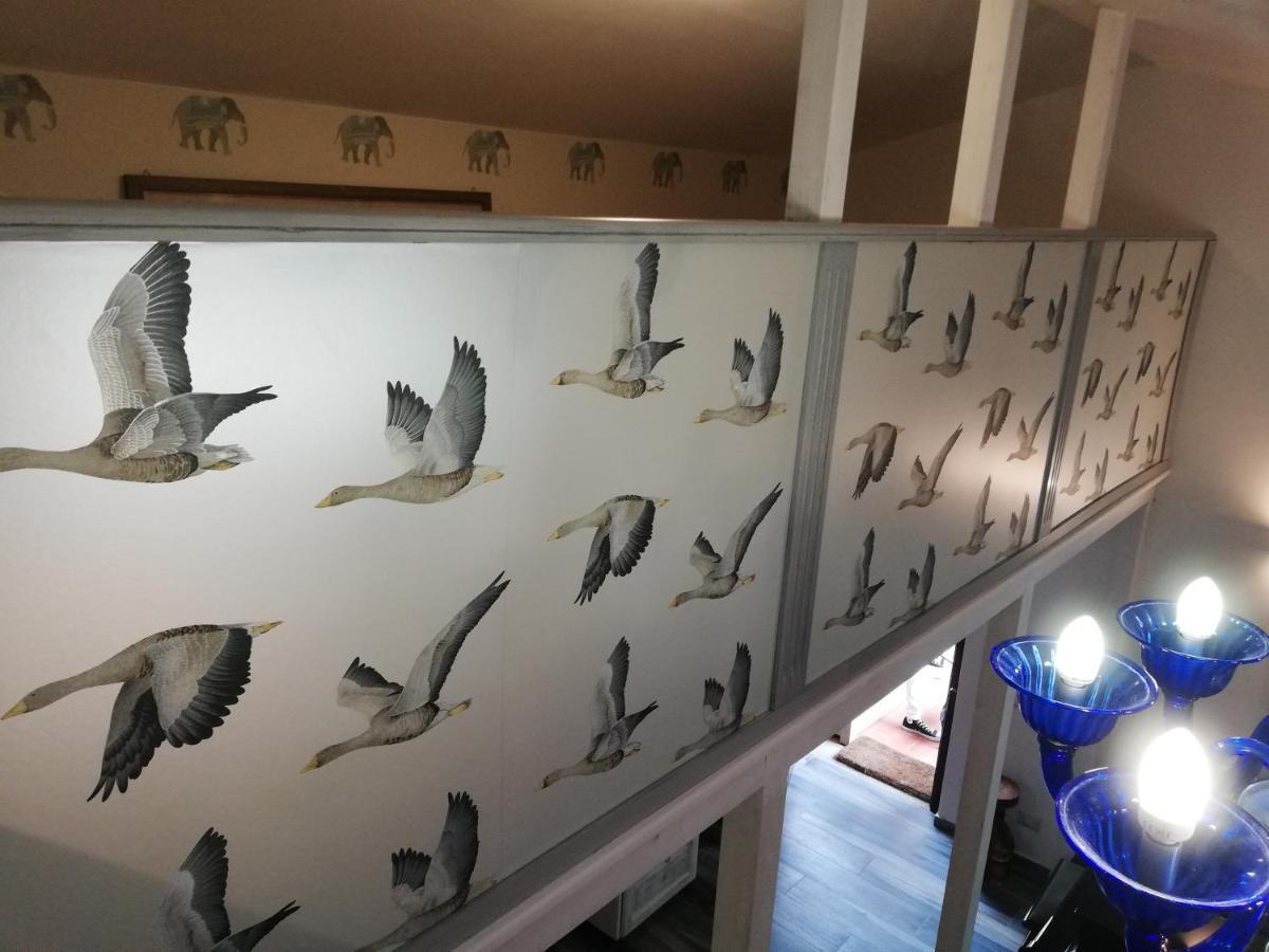 Sguardo Sul Lago 特雷维那诺罗马诺 外观 照片