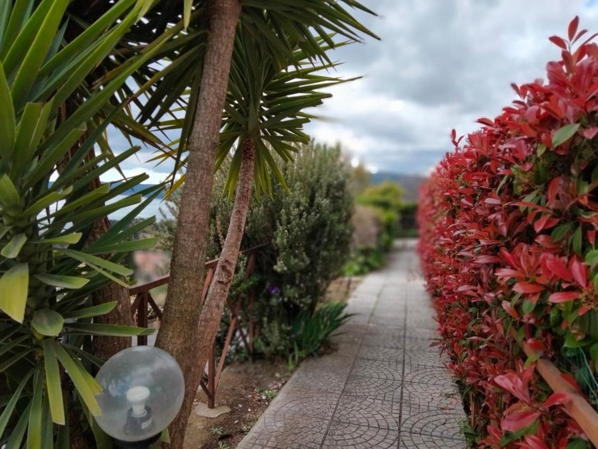 Sguardo Sul Lago 特雷维那诺罗马诺 外观 照片